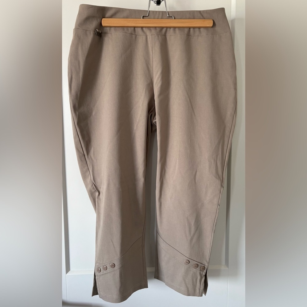 Beautiful Tan Piccadilly Dress Crops